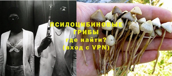 ECSTASY Алзамай