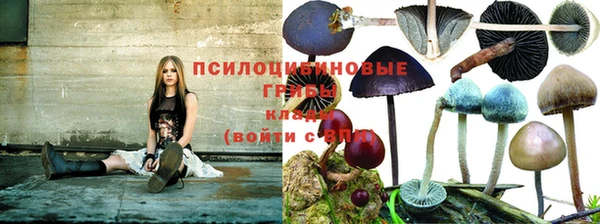 героин Алексин